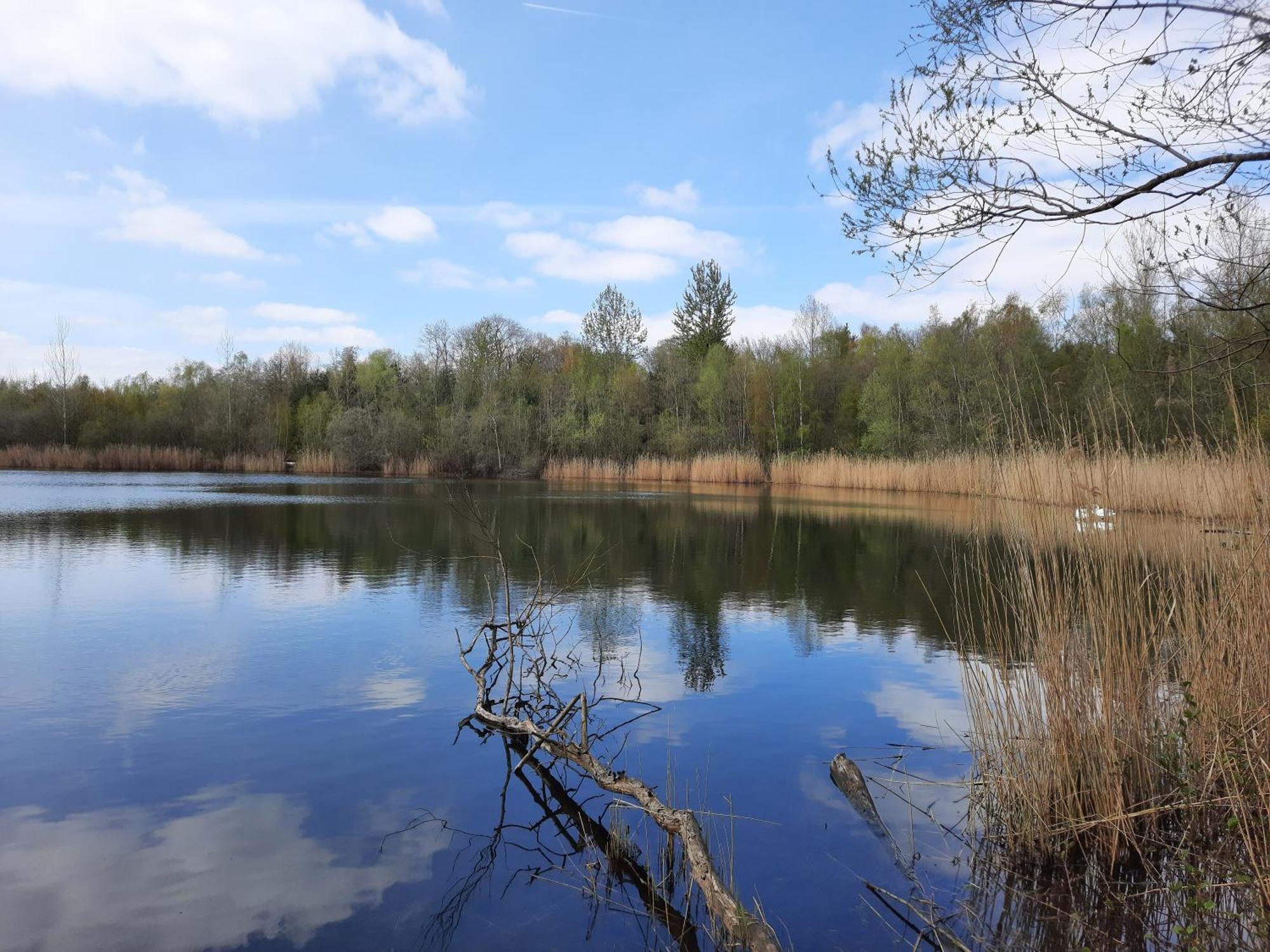 Ferienhaus Am See Goch Kessel Bilik gambar
